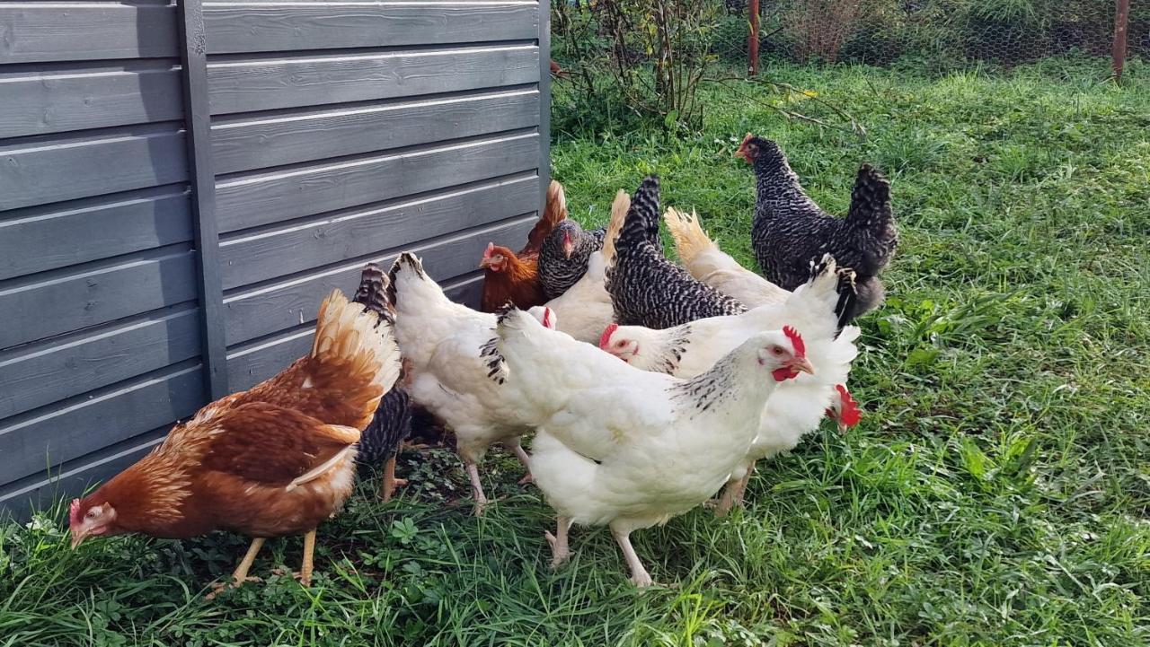 Comberjon Domaine Le Puits Du Moulin B&B 외부 사진